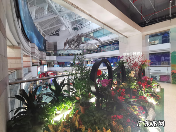 广州正佳广场好玩吗 正佳广场位置