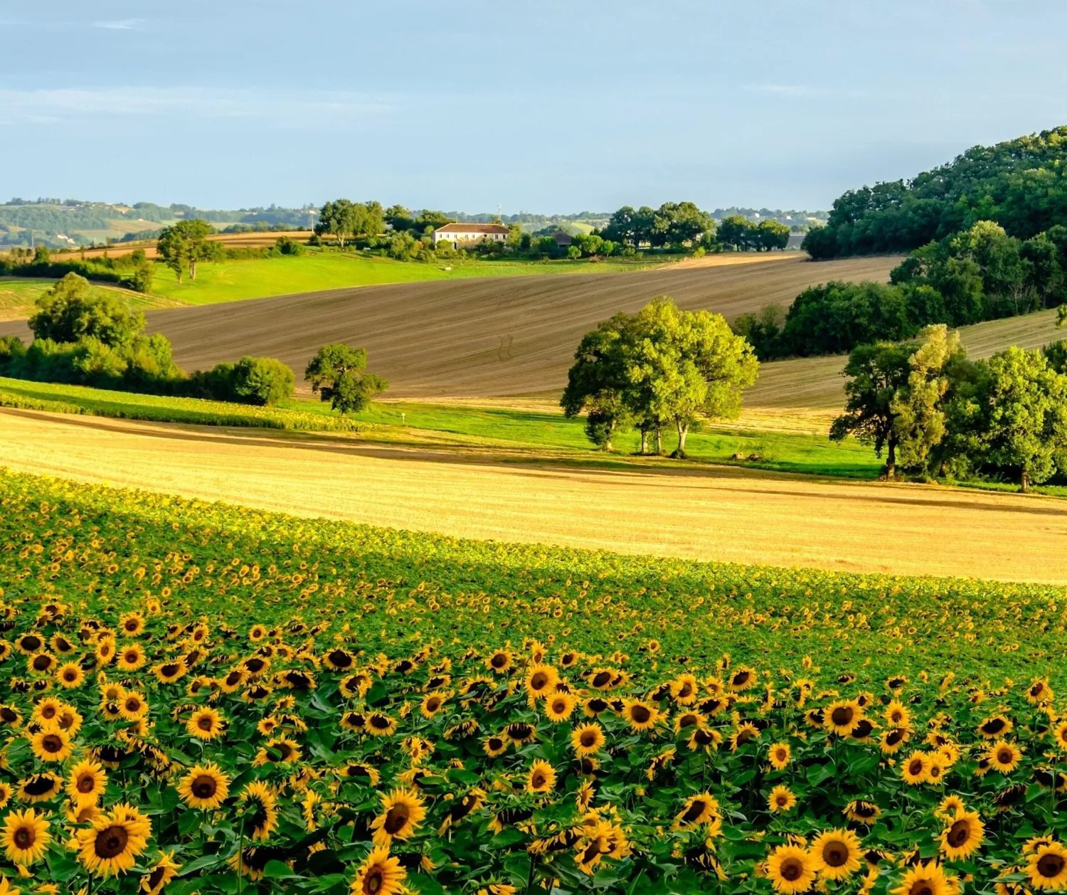如果一个人没有朋友和亲人,还有必要去拼吗?赚钱有意义吗?