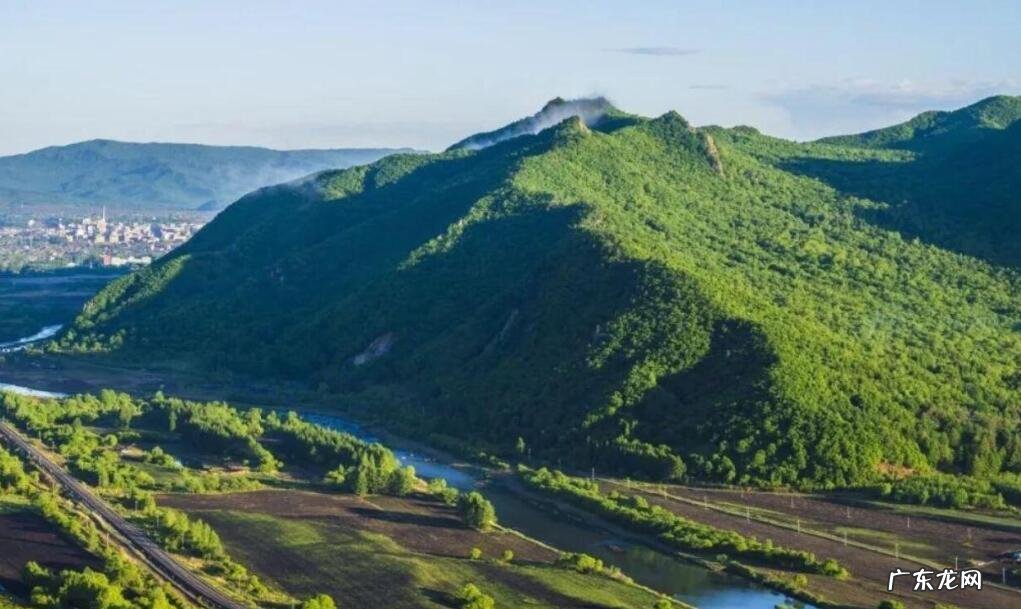 太吓人了！家里来条4米巨蟒，还吞了一头羊！人遇到了该怎么办？