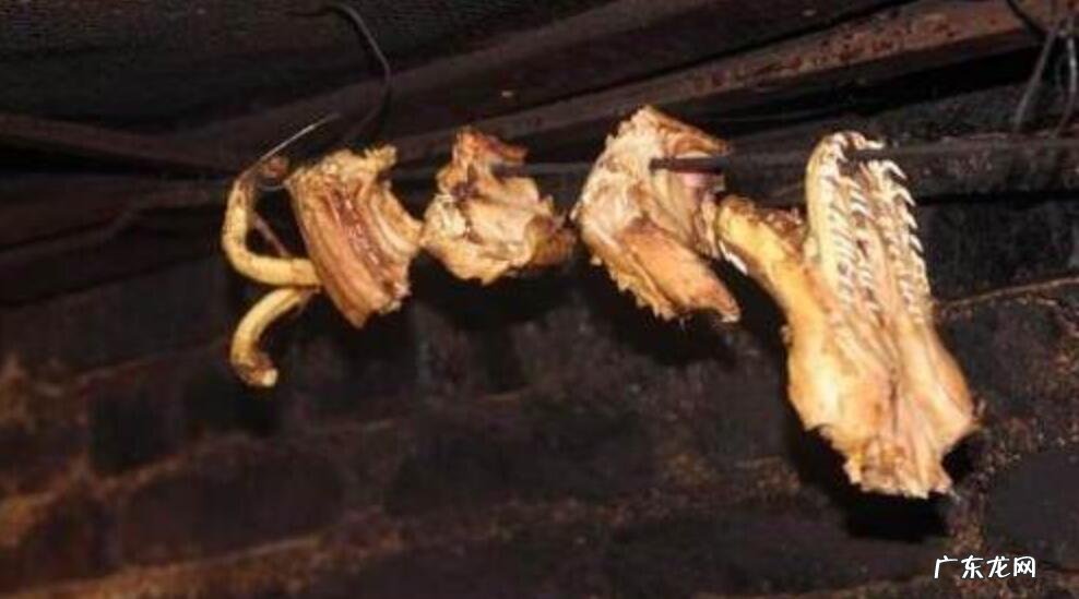 太吓人了！家里来条4米巨蟒，还吞了一头羊！人遇到了该怎么办？