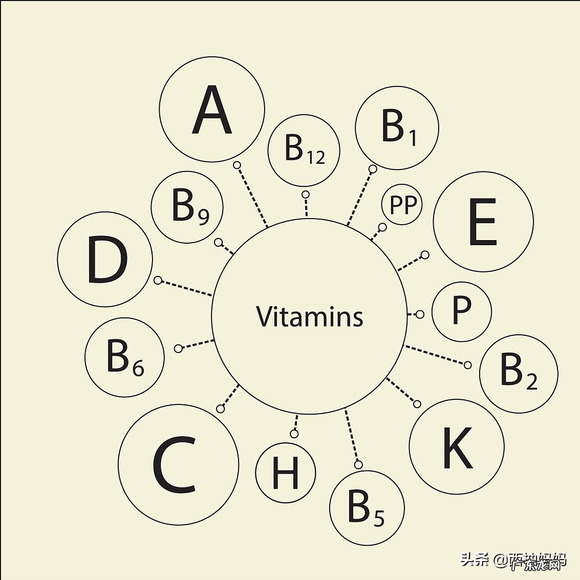孕初期吃什么？