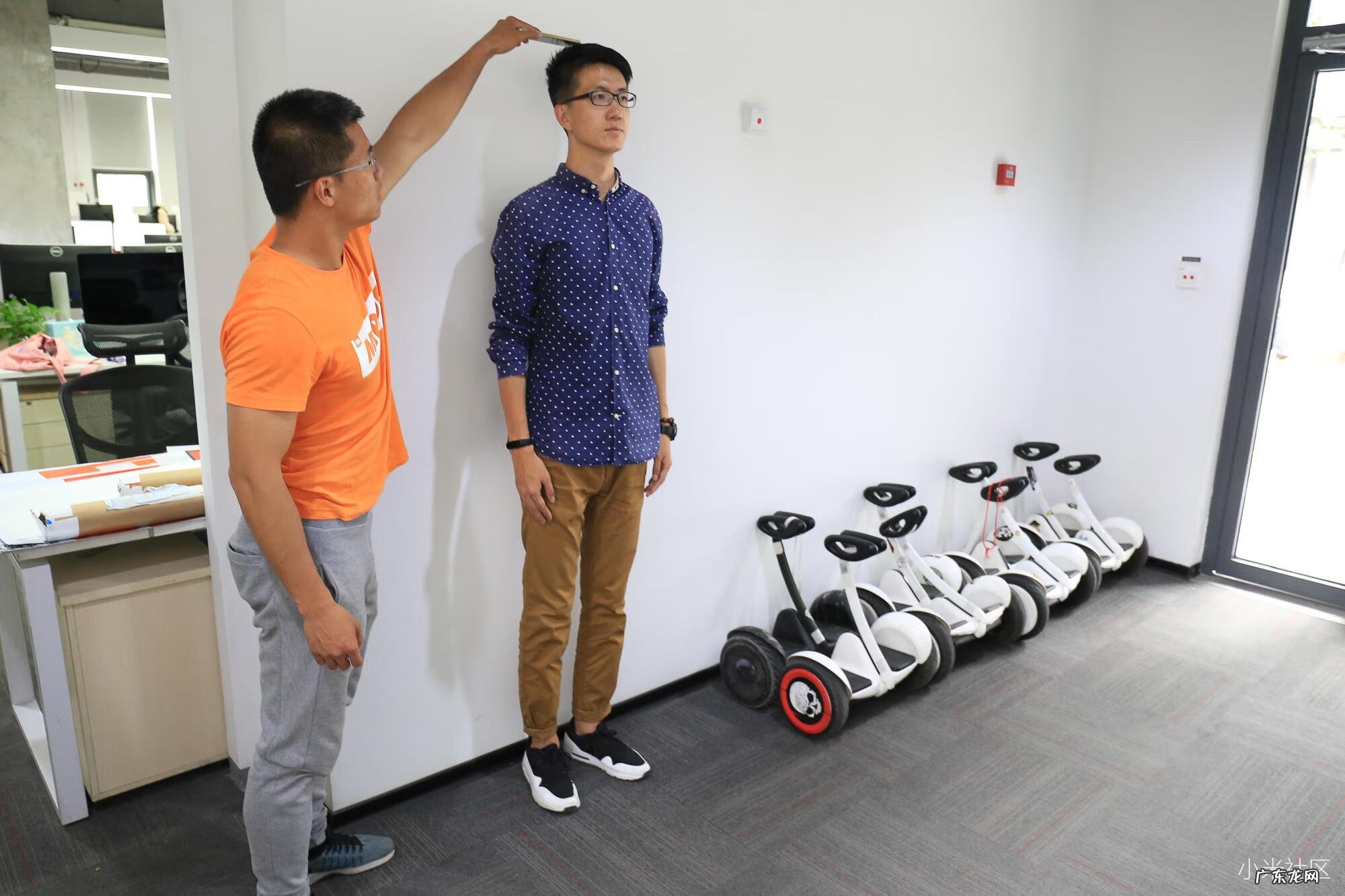 手机风水 手机上怎么看风水