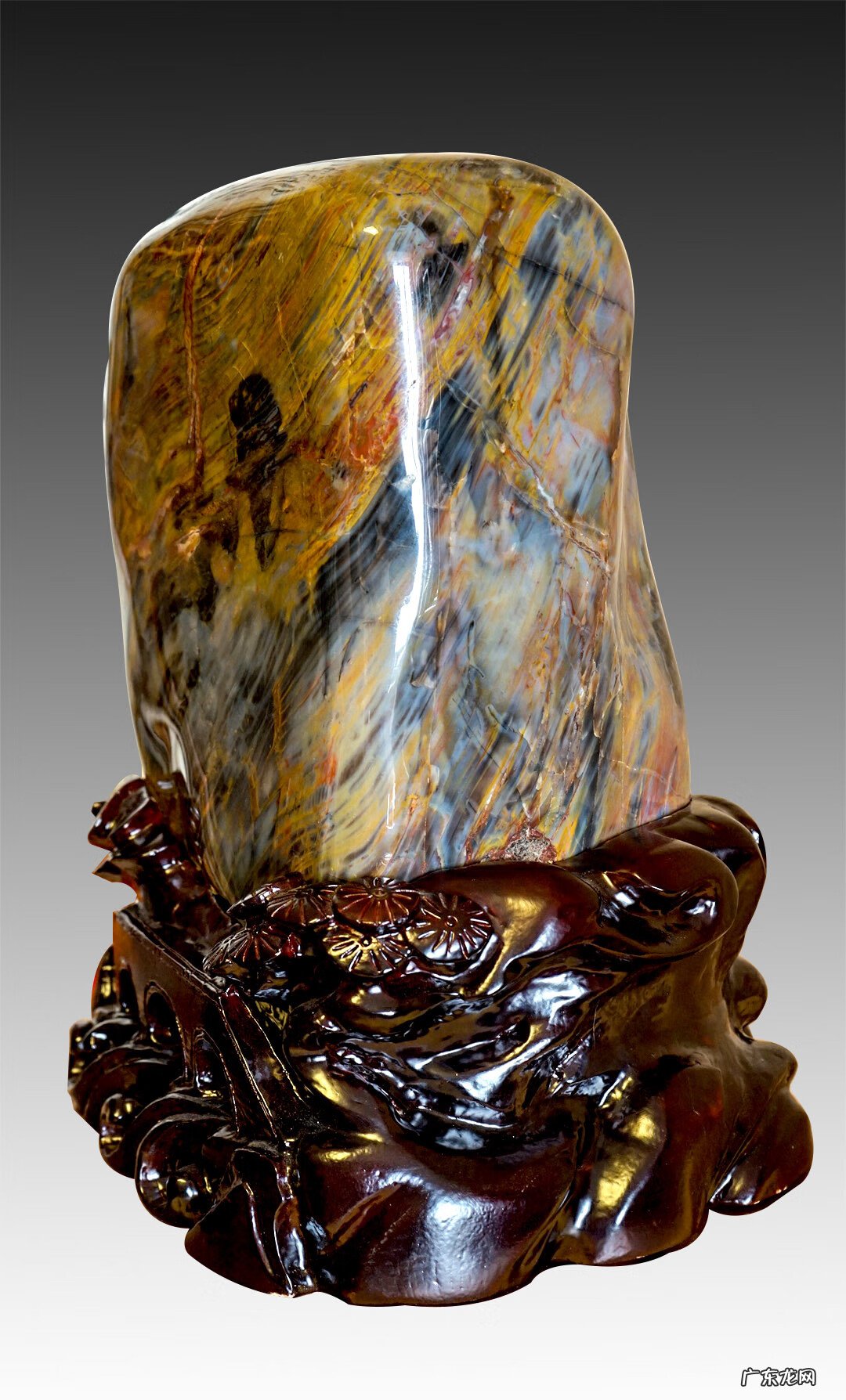 动物化石的特点 化石的风水作用