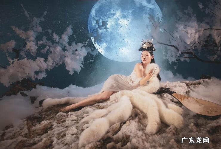 御灵怎么加点 御兽加点流小说