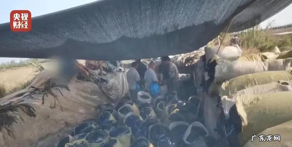 315打假什么意思 315的打假图片