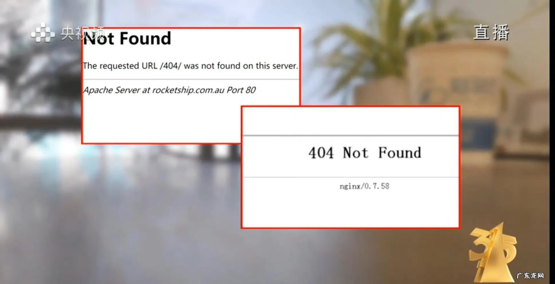 315打假什么意思 315的打假图片