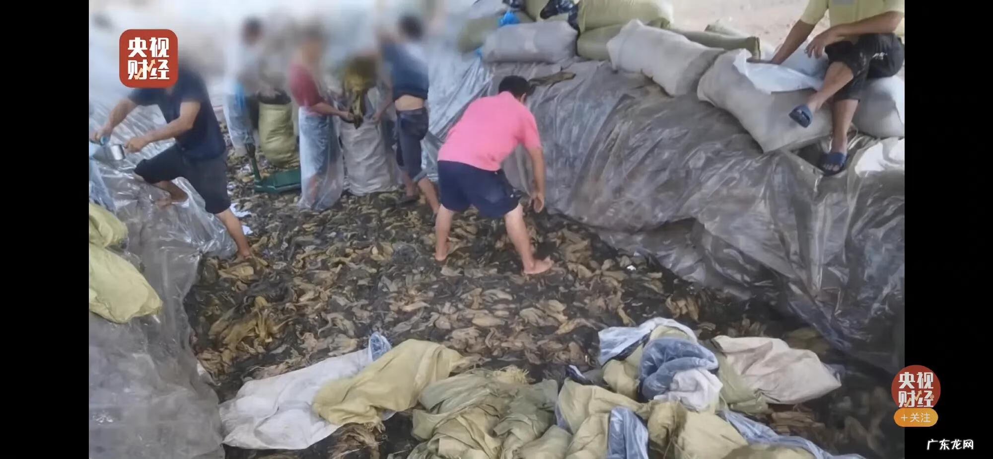 315打假什么意思 315的打假图片