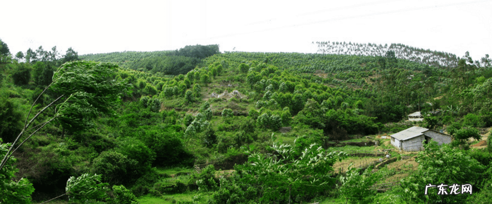 坤位风水不能有什么 风水峨眉砂居坤位