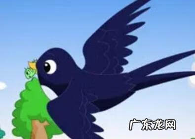 老鹰低空盘旋什么意思 有老鹰盘旋的风水吗