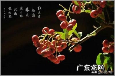 王维的代表作品 王维有什么画作