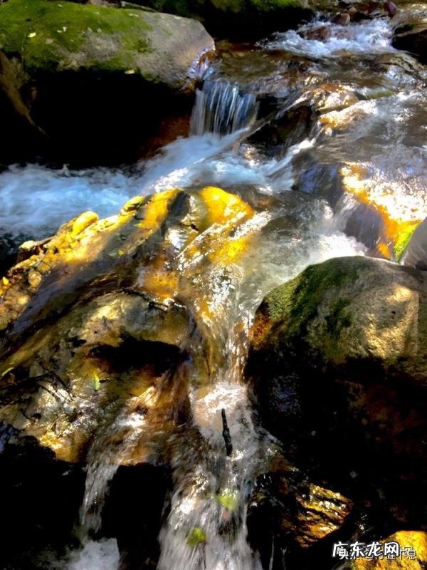 王维的代表作品 王维有什么画作