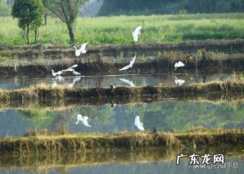 王维的代表作品 王维有什么画作