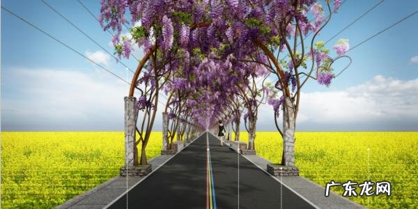 梦幻西游荷塘月色合区 梦幻西游荷塘月色家园