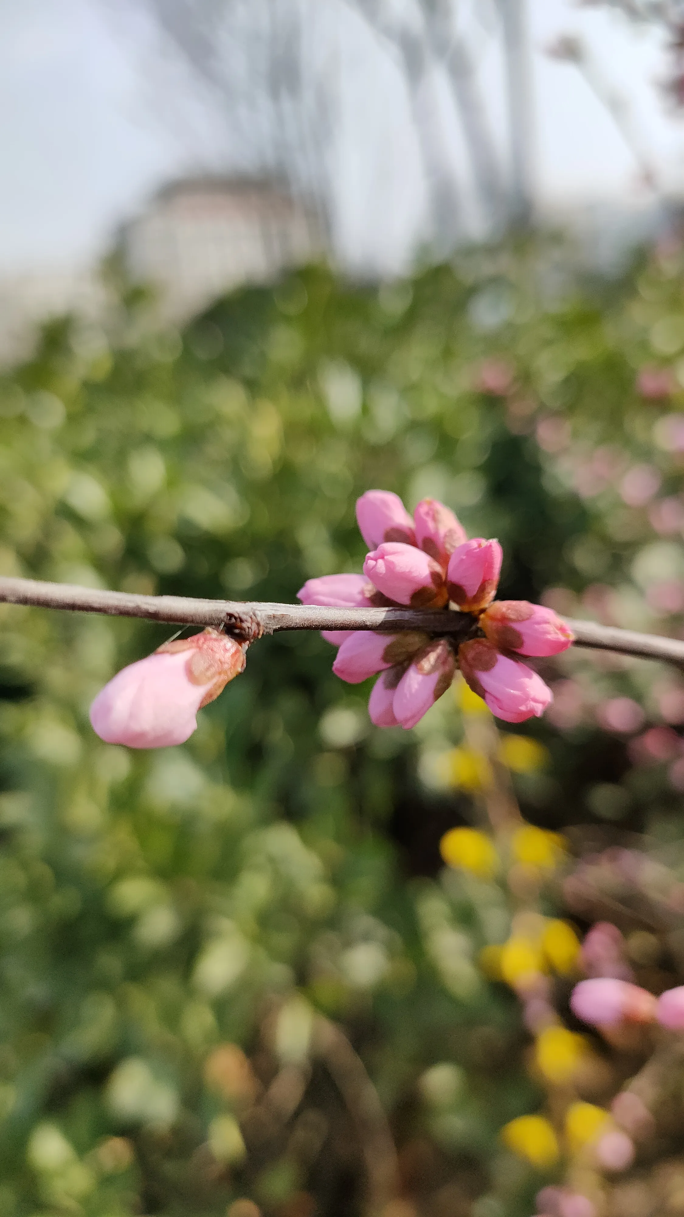 为什么男人的心里都是要求女人赚钱养家两不误,这样才是公平吗?