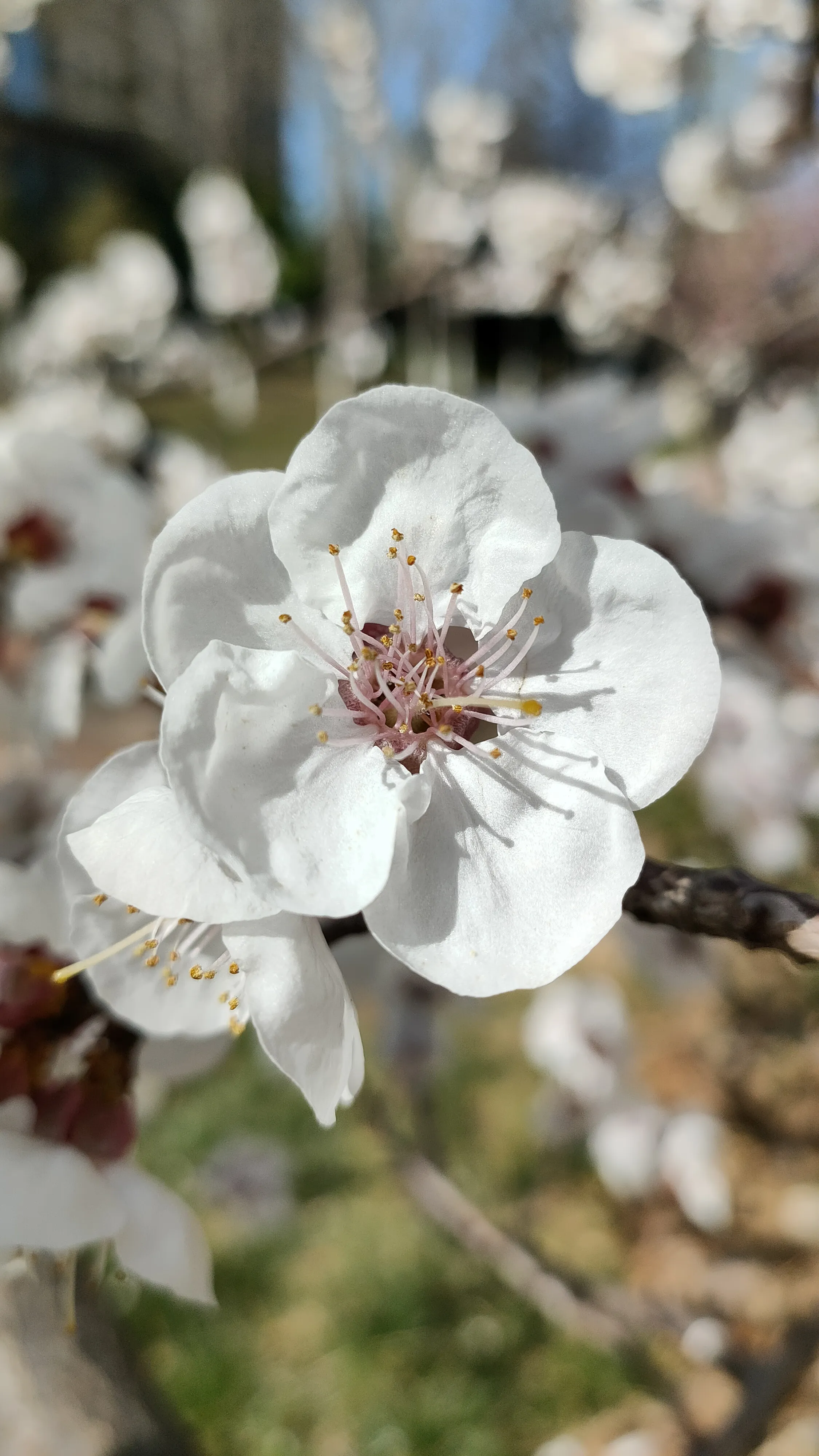 为什么男人的心里都是要求女人赚钱养家两不误,这样才是公平吗?