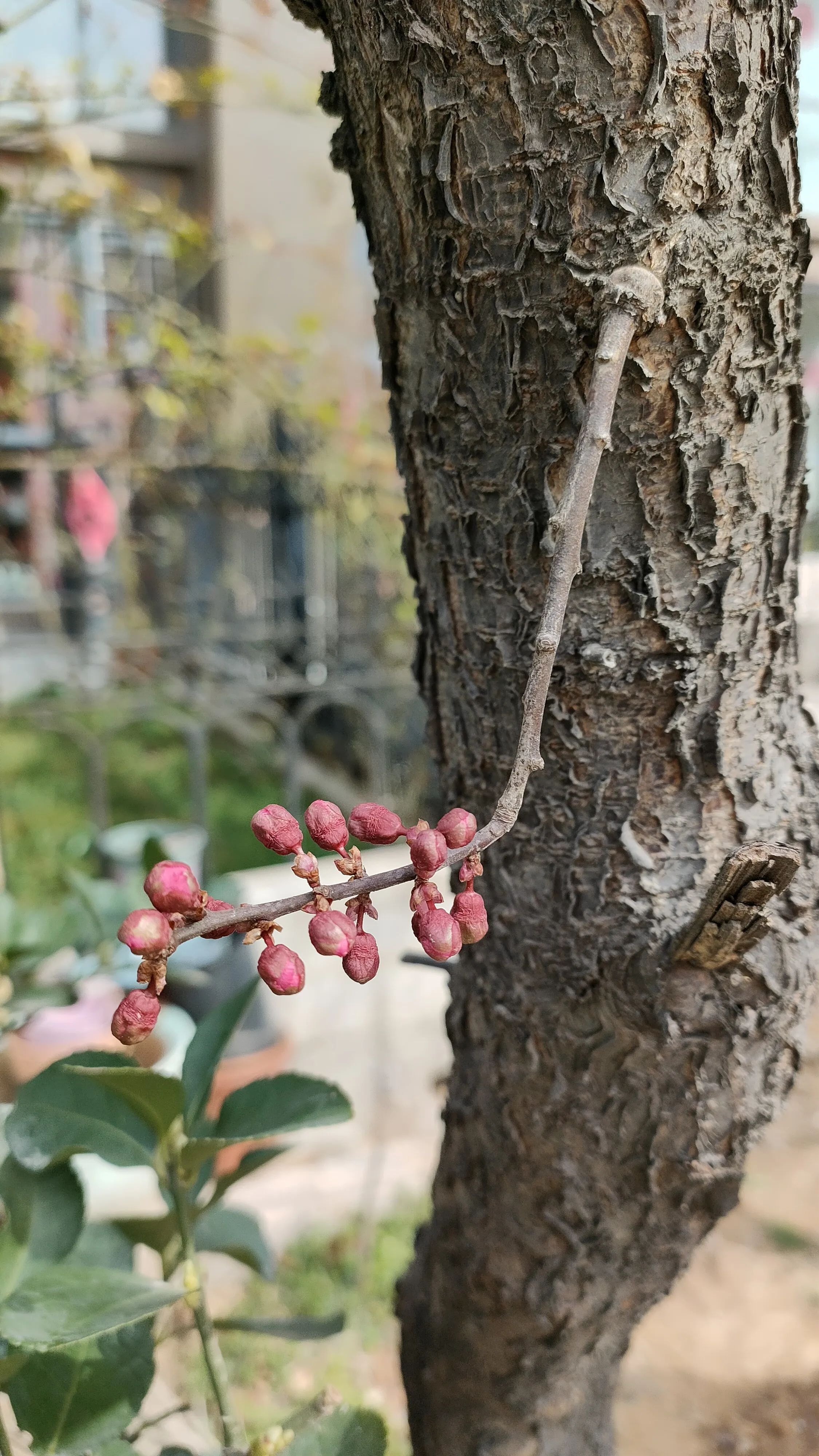 为什么男人的心里都是要求女人赚钱养家两不误,这样才是公平吗?