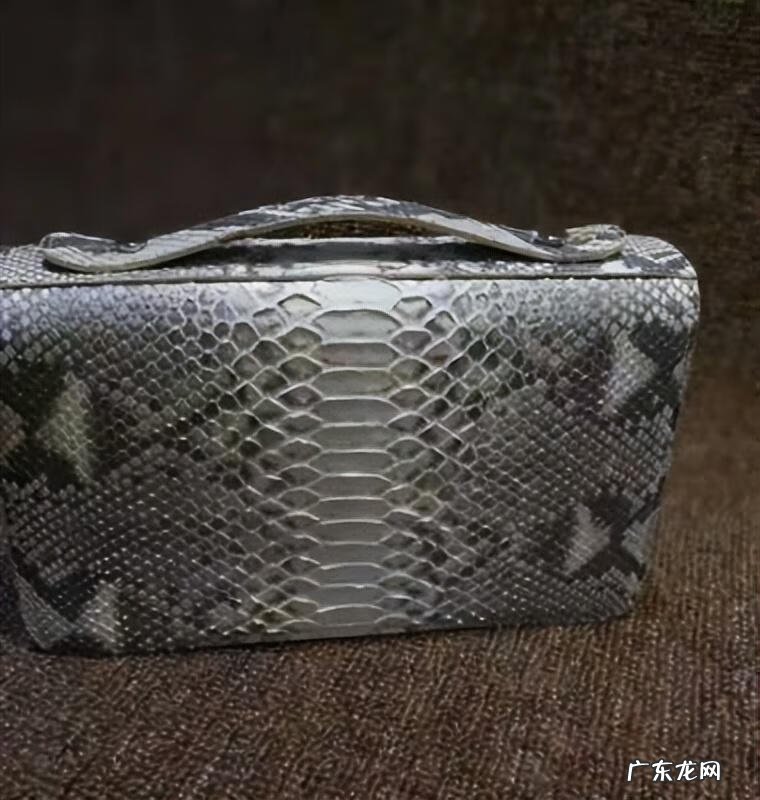 蟒蛇的食物 蟒蛇吃什么?