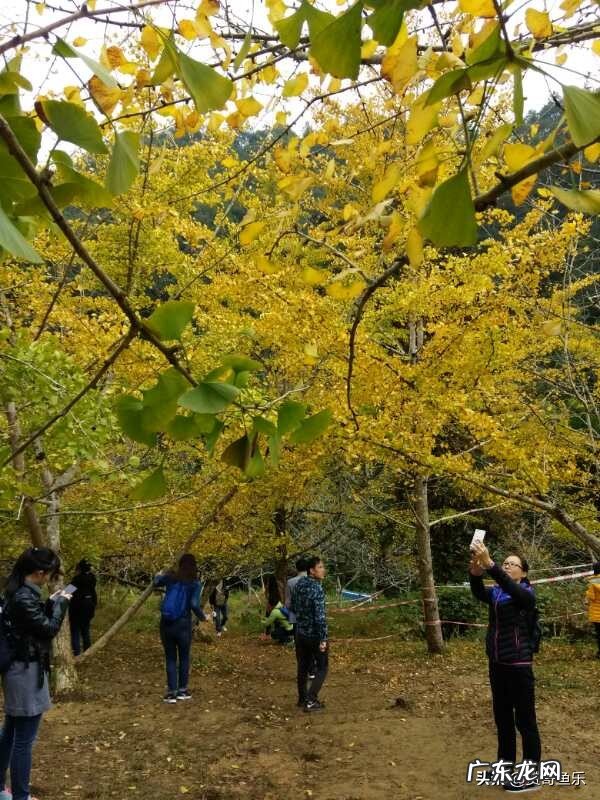 八零后大军中的我们,有没有活成自己想要的生活,还有多少人像我一样处于迷茫阶段中?