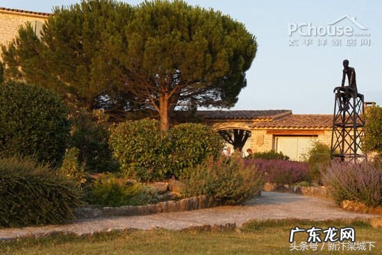 杜鹃风水 簕杜鹃 风水