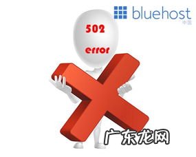 手机出现502怎么解决 502是什么意思表白