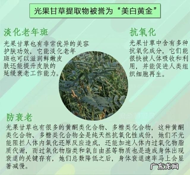 如何让脸部变得越来越白?