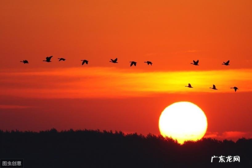 雁组词语二年级 组词二年级上册语文寒号鸟