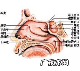 鼻息肉如何手术切除 鼻息肉手术要做几小时
