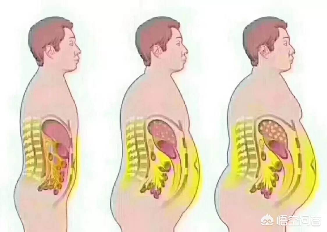 如何控制饮食，达到减肥的目的？