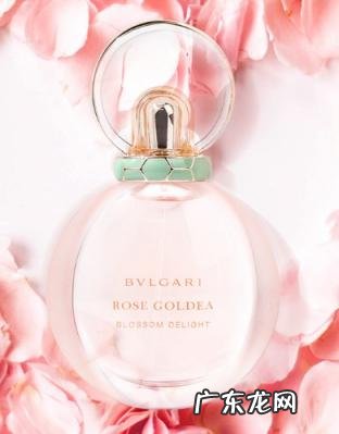 宝格丽玫香金漾香水适合人群 宝格丽欢沁玫瑰香水怎么样