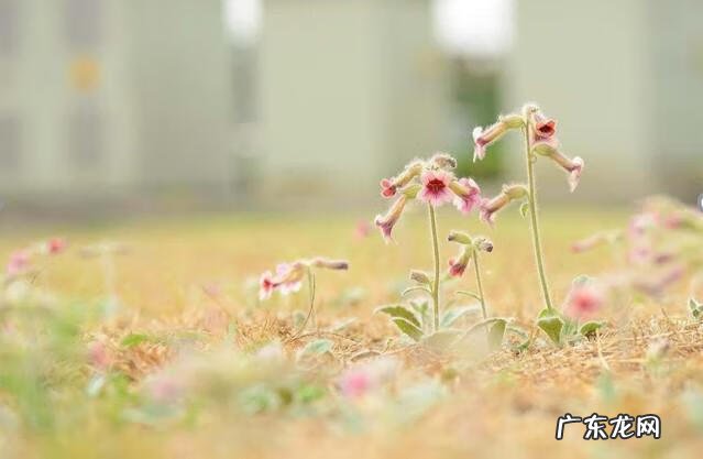 晚上看见青蛙进家了风水不好吗