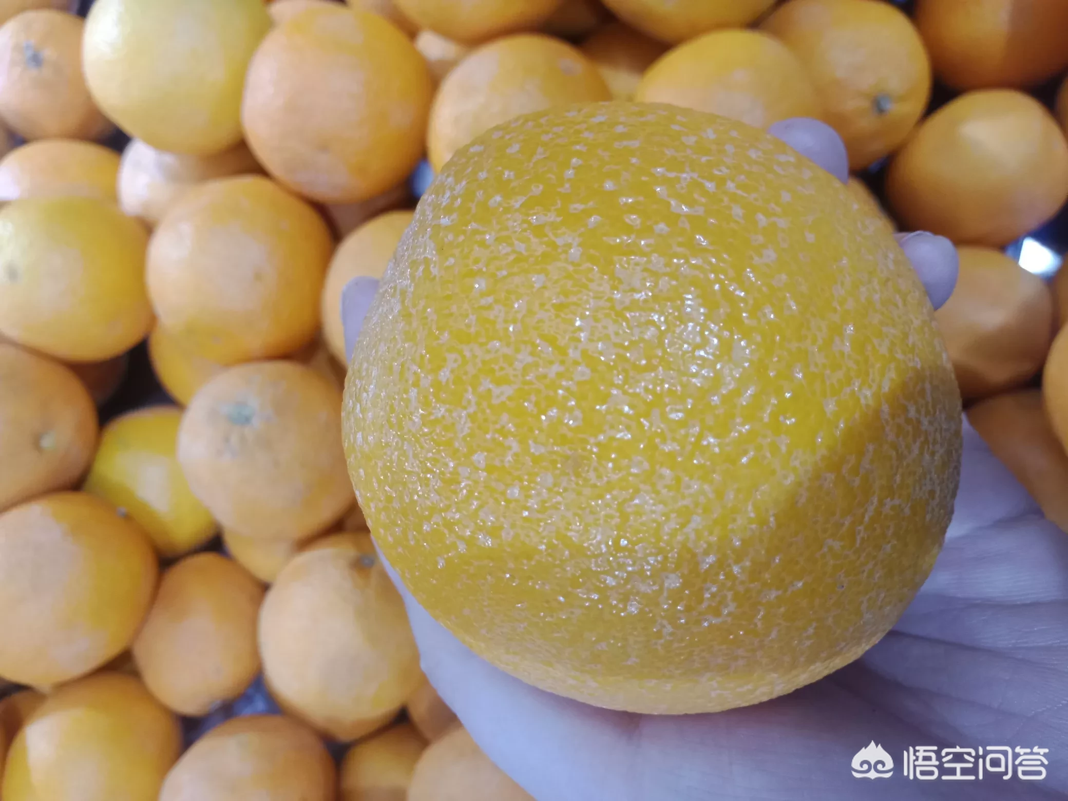 多吃橙子对身体有哪些好处?