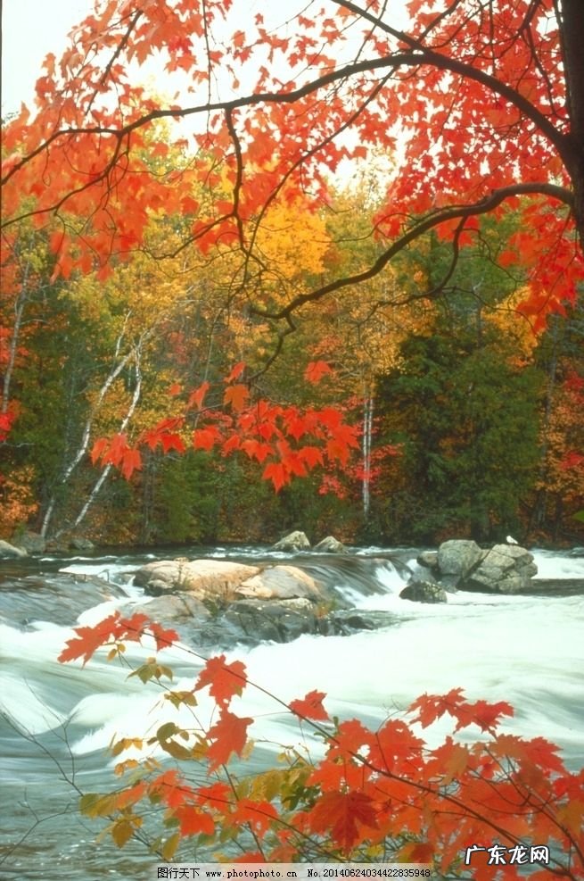 如何用"金秋十月"写诗?