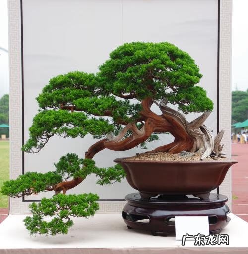 松风水月图片大全 山松风水如何