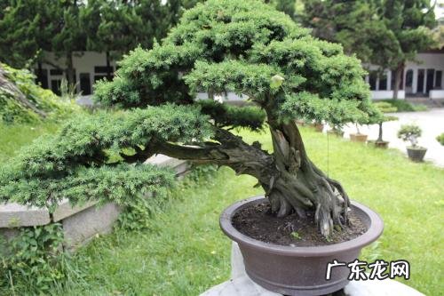 松风水月图片大全 山松风水如何