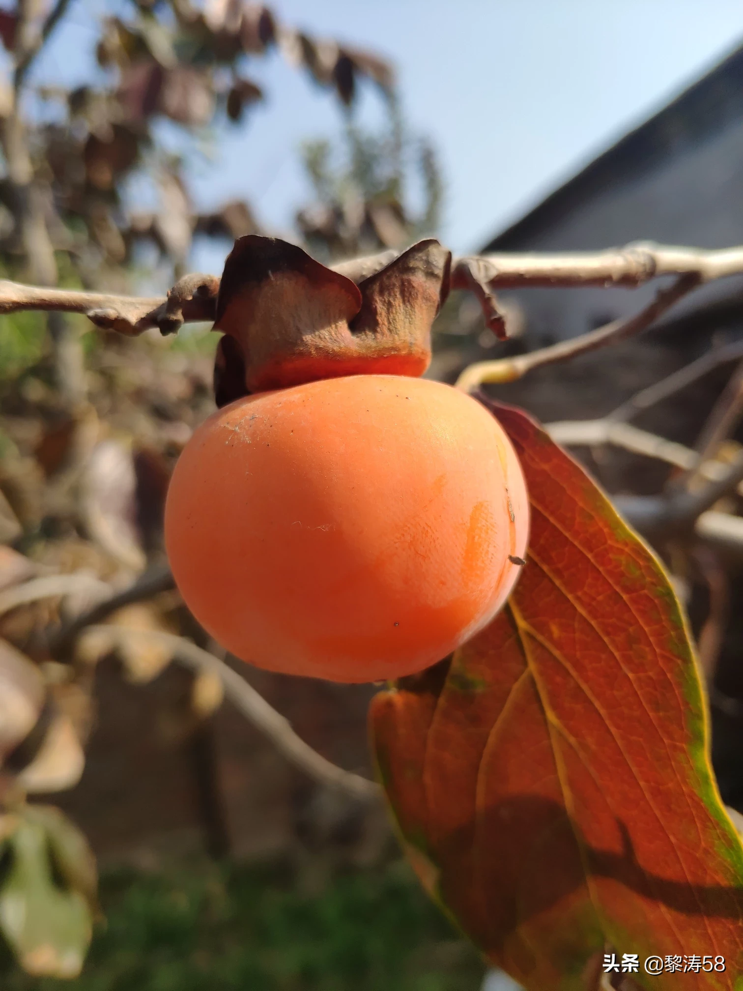 在婚姻生活中，爱情、亲情你觉得谁最重要？