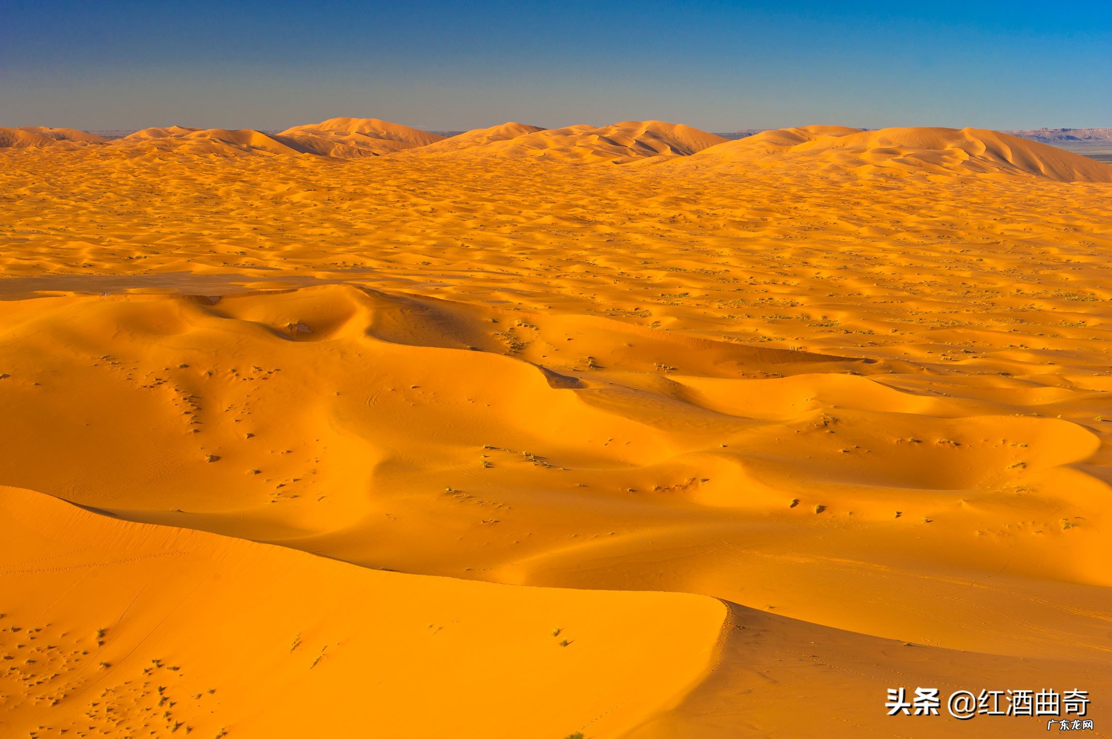 充满阳光的网名?