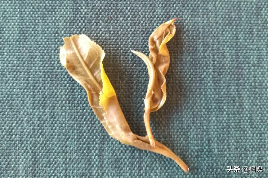 如何辨别茶叶的真假?