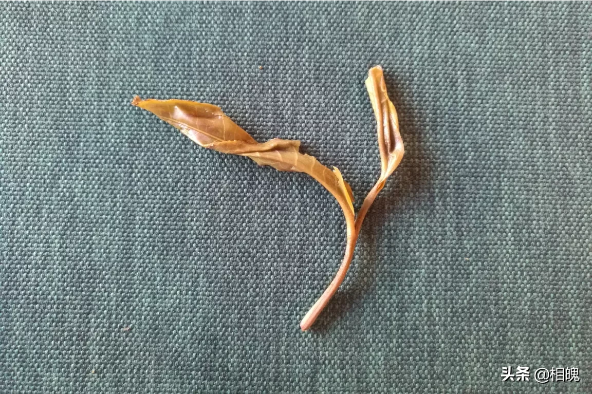 如何辨别茶叶的真假?