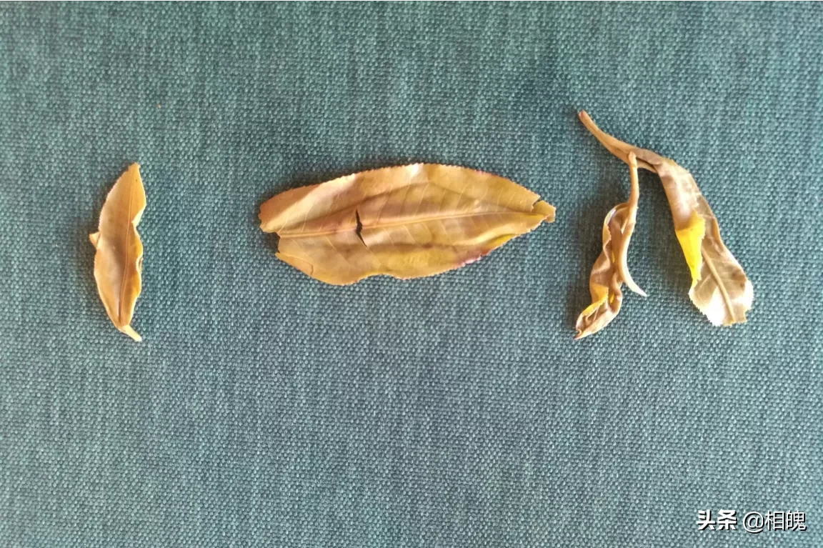 如何辨别茶叶的真假?