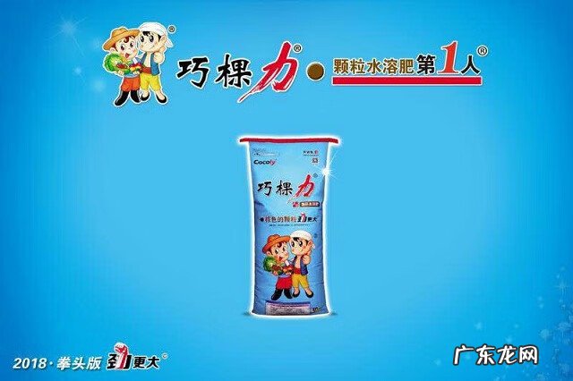 第六届315打假论坛 315打假办公室