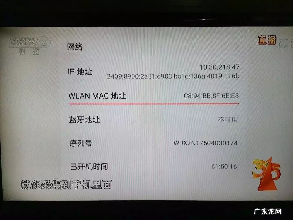 2010年春晚晚会视频 2010年315晚会床垫视频