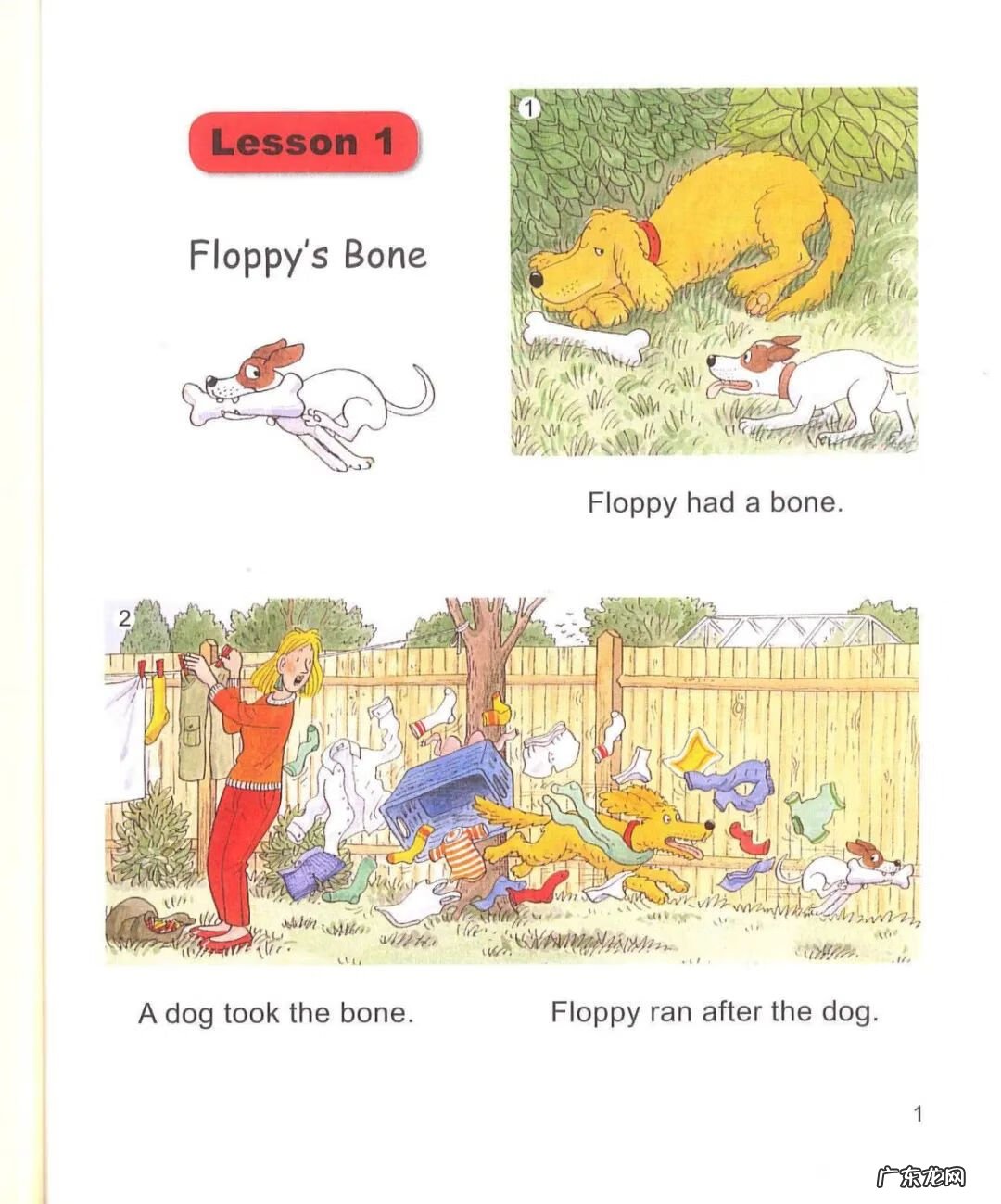 典范英语和新概念英语哪个好用 典范英语8