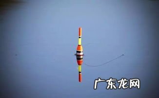 如何选浮漂 野钓湖库 海竿浮漂的种类与使用方法视频