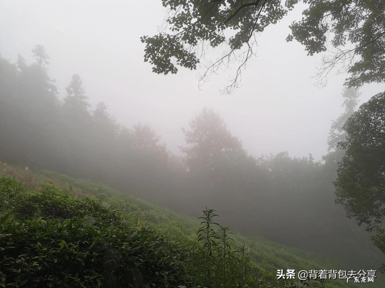 去安徽哪里好玩的地方 安徽省景点大全景点排名榜