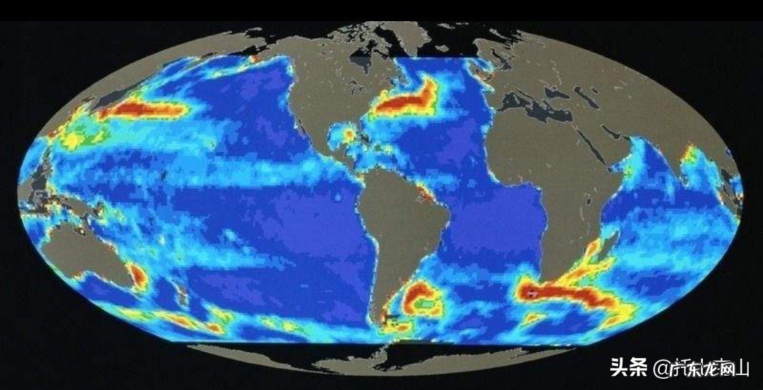 大家觉得我们的人生是一条什么线？