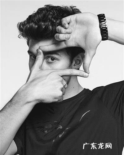 辐射系列 fallout boy