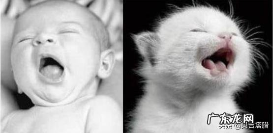 如何确认自己是否被暗恋了?