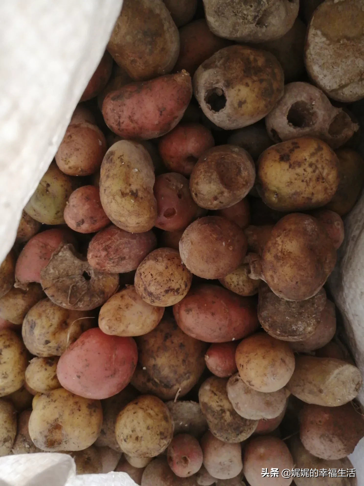 土豆的用处都有什么？