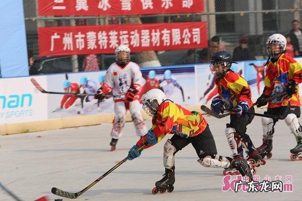 美洲狮轮滑鞋套装 美洲狮轮滑鞋