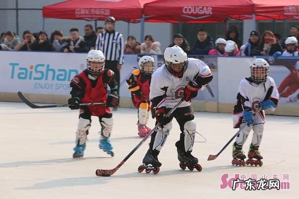 美洲狮轮滑鞋套装 美洲狮轮滑鞋